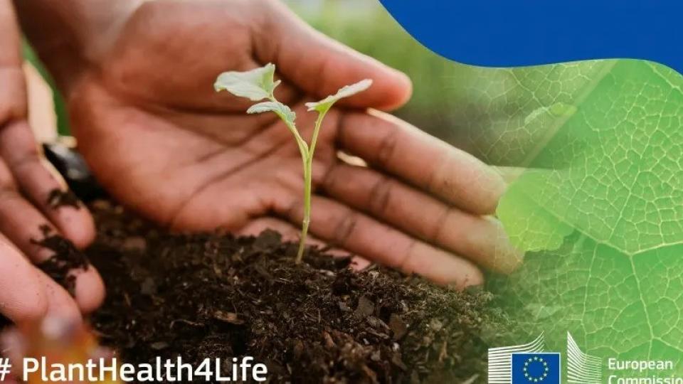 Η εκστρατεία #PlantHealth4Life επιστρέφει, μεγαλύτερη και βελτιωμένη